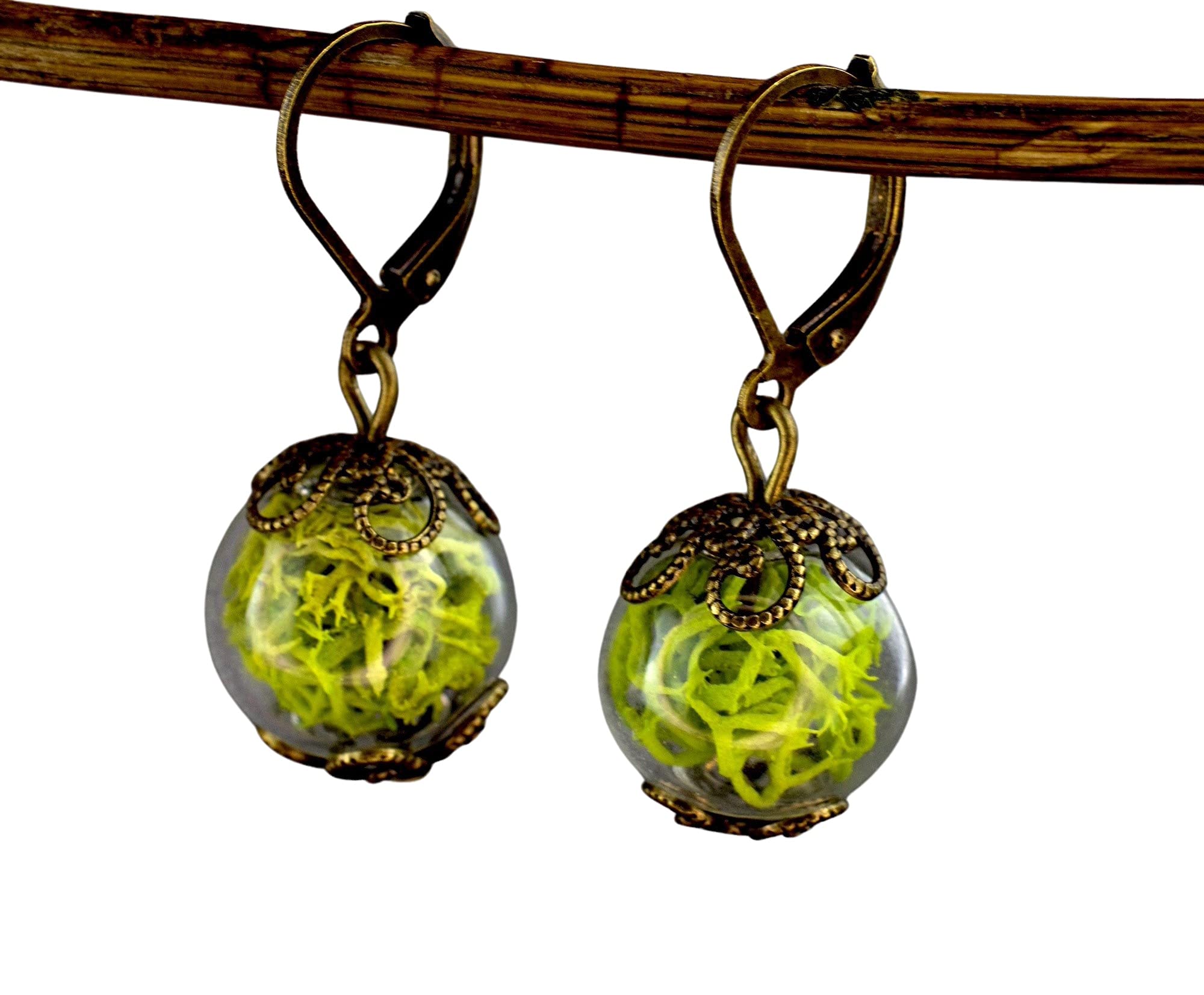 MadamLili - Echtes Moos Ohrringe Set - Bronze Schmuck Vintage Stil - Naturschmuck Waldmoos Islandmoos Grün Ohrhänger - Handgefertigt - Exklusive Schmuckbox