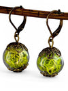 MadamLili - Echtes Moos Ohrringe Set - Bronze Schmuck Vintage Stil - Naturschmuck Waldmoos Islandmoos Grün Ohrhänger - Handgefertigt - Exklusive Schmuckbox